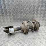 Stoßdämpfer vorne links