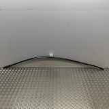 Dachleiste links BMW 5 (G30) 520 d 7388753