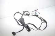 Türverkabelung hinten links BMW X1 (F48) xDrive 18 d 6840096 6812218