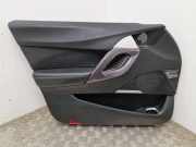 Türverkleidung vorne links