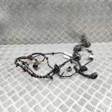 Kabel Tür vorne rechts