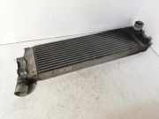 Ladeluftkühler Renault Grand Scenic II (JM) 8200115540