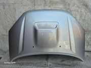 Motorhaube TOYOTA RAV 4 II (_A2_) 2.0 D-4D 4WD (CLA20_, CLA21_)