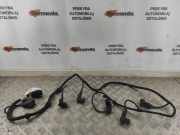 Kabelbaum Hinteren Parksensoren VW TOUAREG (7LA, 7L6, 7L7) 3.0 V6 TDI 7L6971095B 1J0919275
