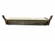 Ladeluftkühler VW SHARAN (7M8, 7M9, 7M6) 2.0 TDI 7M3145805
