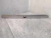 Kennzeichenbeleuchtung Verkleidung