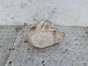 Fensterwaschtank TOYOTA PREVIA (_R3_) 2.0 D-4D (CLR30_) 860142087