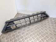Kühlergrill unten Ford Transit Custom V362 Kasten (FY, FZ) GK2117K946AA