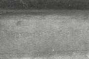 Hutablage Ford Focus Stufenheck (DFW) 5M51F46668A