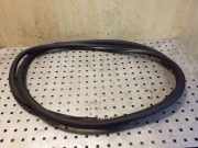 Türgummi links vorne VW Touran (1T1, 1T2) 1T0867911F