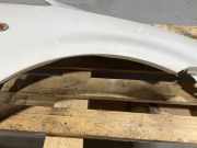 Kotflügel rechts vorne VW Caddy III Kasten (2KA) 2K5821216