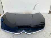 Motorhaube CITROËN C-CROSSER (EP_) 2.2 HDi
