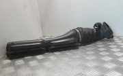 Luftansaugrohr LAND ROVER RANGE ROVER SPORT (L320) 3.0 D 4x4 CPLA9A676AD