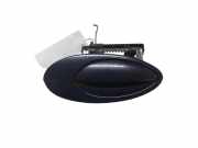 Türaußengriff hinten rechts CITROËN C5 II (RC_) 3.0 V6 (RCXFUF) 9642929080