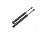 Gasfeder für Motorhaube BMW X3 (F25) 7210727