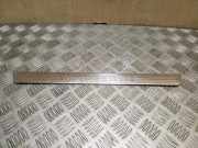 Schwellerinnenverkleidung vorne links MERCEDES-BENZ B (W246, W242) B 220 CDI / d (246.203) A2466800135