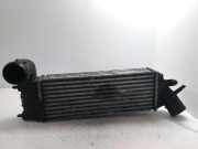 Ladeluftkühler FIAT ULYSSE (179_) 2.0 JTD 870229HF 1489396080