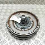 Kupplungsmitnehmerscheibe VW Tiguan II (AD) 05L105266K