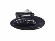 Türgriff links hinten Citroen C5 II (RC) 9644270277