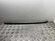 Windlauf BMW X6 (E71, E72)