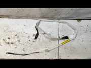 Airbag Dach rechts BMW 3er Cabriolet (E46) 8582681648