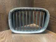 Kühlergrill komplett BMW 5er (E39) 81845319