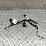 Verkabelung der hinteren Abdeckung LAND ROVER DISCOVERY V (L462) 3.0 D 4x4 HY32-14B562-AB