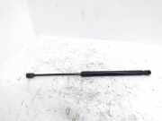 Heckklappe Gasdruckfeder rechts VW PASSAT ALLTRACK B8 (3G5) 2.0 TDI 4motion 3AF827550B