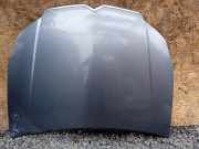 Motorhaube Citroen C5 III (RD)