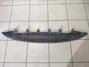 Gitter vorne unten HYUNDAI ACCENT III (MC) 1.6 GLS
