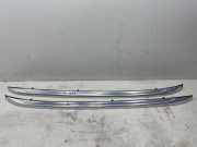 Dachreling links BMW X1 (E84) xDrive 23 d