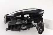Türgriff links BMW 7er (F01, F02, F03, F04) X1717572513