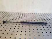 Heckklappe Gasdruckfeder links KIA SPORTAGE V (NQ5) 1.6 T-GDI AWD 817703W000