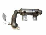 Abgaskühler Ford Transit Connect (P*2) 080614063