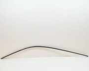 Dachleiste links BMW 3 Touring (F31) 335 d xDrive N/A