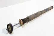 Stoßdämpfer links hinten Ford Focus (DAW, DBW)