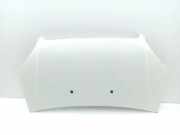 Motorhaube FIAT DOBLO Cargo (223_) 1.3 D Multijet