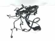 Motor Kabelbaum MERCEDES-BENZ A (W177) A 220 d (177.014) 51001301