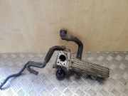 AGR-Kühler SKODA OCTAVIAII (1Z3) 1.9 TDI 038131513