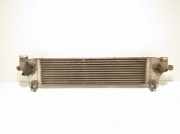 Ladeluftkühler NISSAN QASHQAI / QASHQAI +2 I (J10, JJ10) 2.0 dCi 4WD