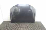 Motorhaube LEXUS ES (_Z10_, _A10_, _H10_) 300h (AXZH10, AXZH11) COLOR CODE: 223