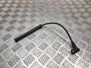 Hochspannungszündkabel (Steckkabel) RENAULT TWINGO II (CN0_) 1.2 16V (CN04, CN0A, CN0B) 22501C