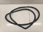 Türgummi links vorne Audi A8 (4E)