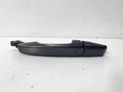 Türaußengriff hinten links