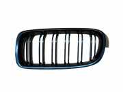 Vorderer oberer Gitter BMW 3 (F30, F80) 320 d