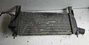 Ladeluftkühler NISSAN NP300 NAVARA (D40) 2.5 dCi 4WD 14461EB360 F6864