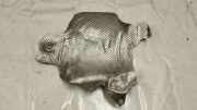 Heat Insulation BENTLEY FLYING SPUR (3W_) 6.0 3W0301328H