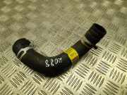 Schlauch Kühlung KIA XCEED (CD) 1.5 T-GDI 25415G4300