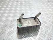 Kühler Land Rover Range Rover III (L322) PFD00020