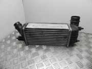 Ladeluftkühler CITROËN JUMPY 2.0 HDi 165 8999500
